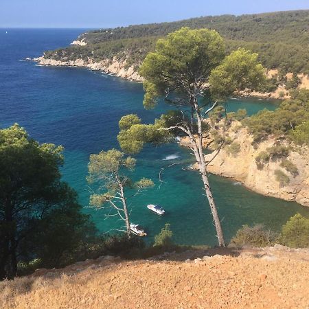Sanary Sur Mer Appartement 30M2 T2 Avec Terrasse Piscine 10Min A Pied De La Plage Exteriör bild